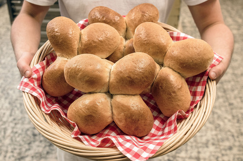 Andreas Haller - Katholische Kirche Vorarlberg