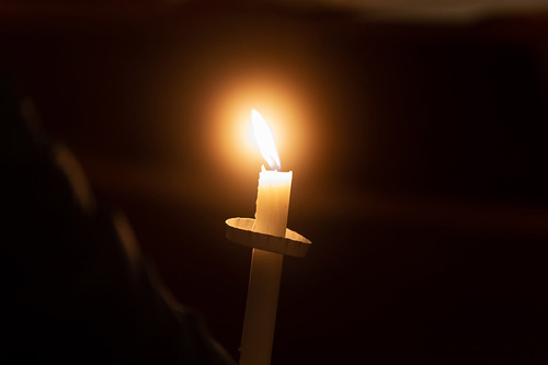 Erzdiözese Wien / Schönlaub Stephan, Stephan Schönlaub