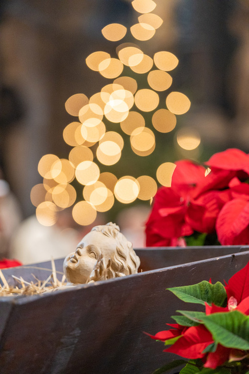 Erzdiözese Wien/Stephan Schönlaub